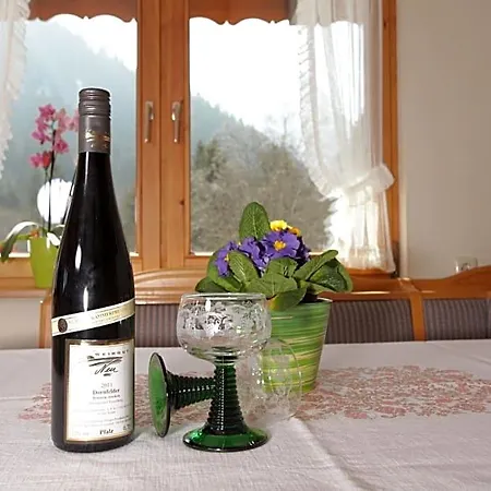 Haus Derra 3* Mittelberg
